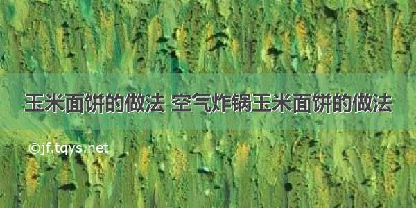 玉米面饼的做法 空气炸锅玉米面饼的做法