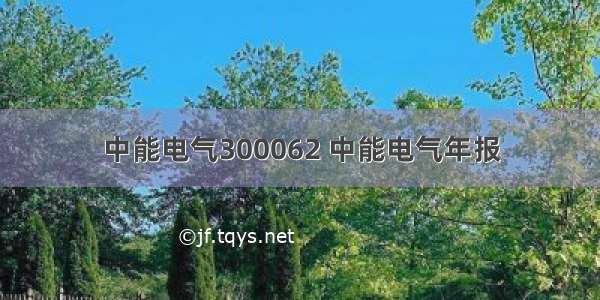 中能电气300062 中能电气年报