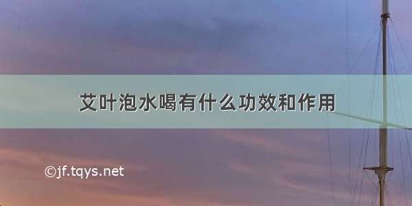 艾叶泡水喝有什么功效和作用