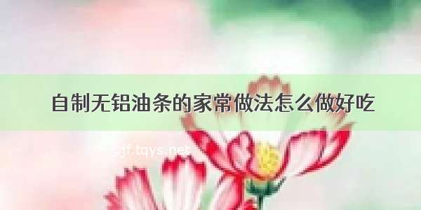 自制无铝油条的家常做法怎么做好吃