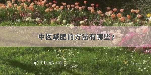 中医减肥的方法有哪些？