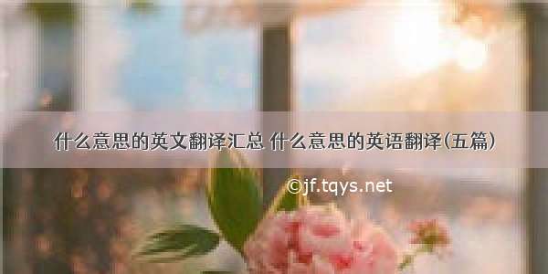 什么意思的英文翻译汇总 什么意思的英语翻译(五篇)