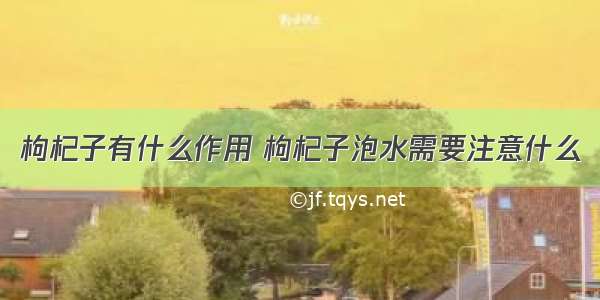 枸杞子有什么作用 枸杞子泡水需要注意什么