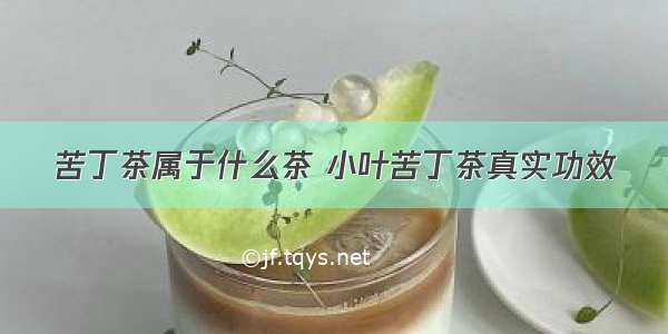 苦丁茶属于什么茶 小叶苦丁茶真实功效