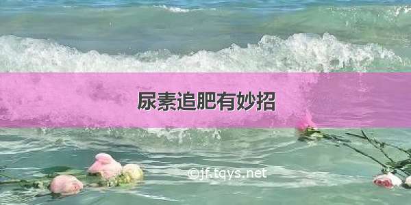 尿素追肥有妙招