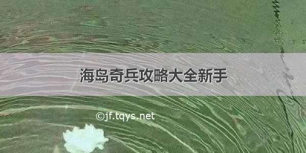 海岛奇兵攻略大全新手