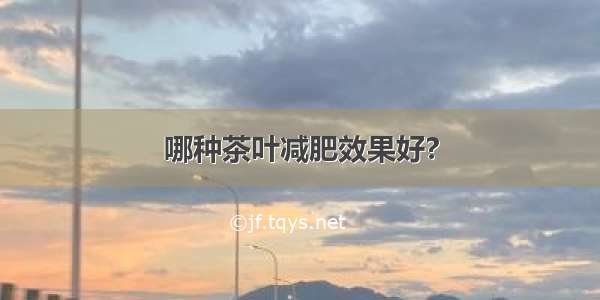 哪种茶叶减肥效果好?