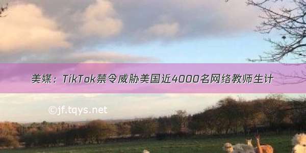 美媒：TikTok禁令威胁美国近4000名网络教师生计