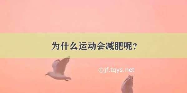 为什么运动会减肥呢？