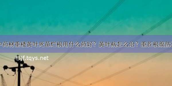 中药材重楼黄叶死苗烂根用什么药好？黄叶病怎么治？重茬根腐防治