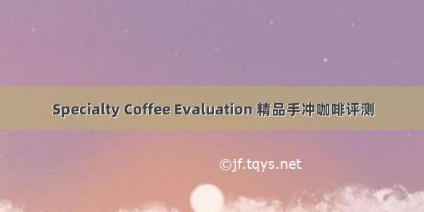 Specialty Coffee Evaluation 精品手冲咖啡评测