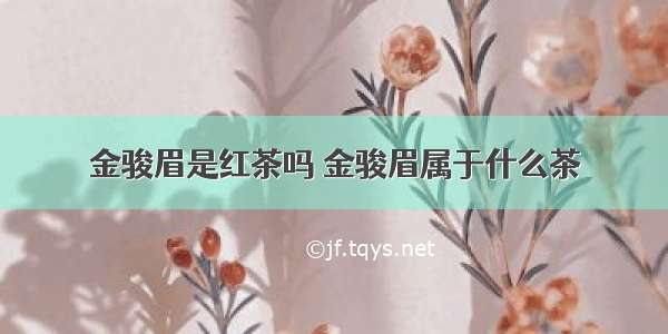 金骏眉是红茶吗 金骏眉属于什么茶