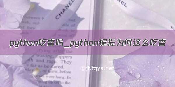 python吃香吗_python编程为何这么吃香