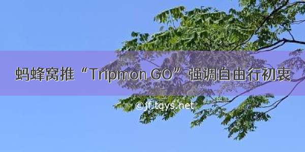 蚂蜂窝推“Tripmon GO”强调自由行初衷