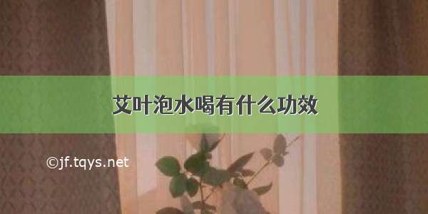 艾叶泡水喝有什么功效