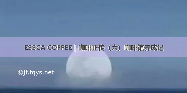 ESSCA COFFEE｜咖啡正传（六）咖啡馆养成记