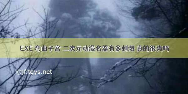 EXE 弯曲子宫 二次元动漫名器有多刺激 真的很爽吗