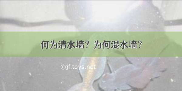 何为清水墙？为何混水墙？