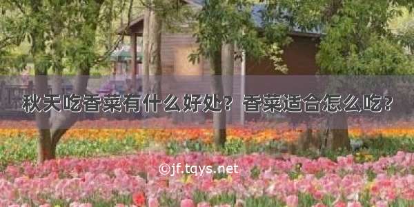 秋天吃香菜有什么好处？香菜适合怎么吃？