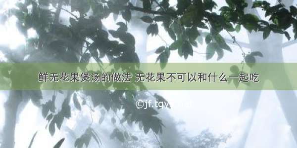 鲜无花果煲汤的做法 无花果不可以和什么一起吃