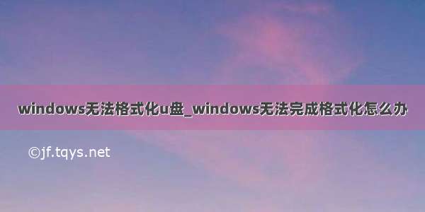 windows无法格式化u盘_windows无法完成格式化怎么办