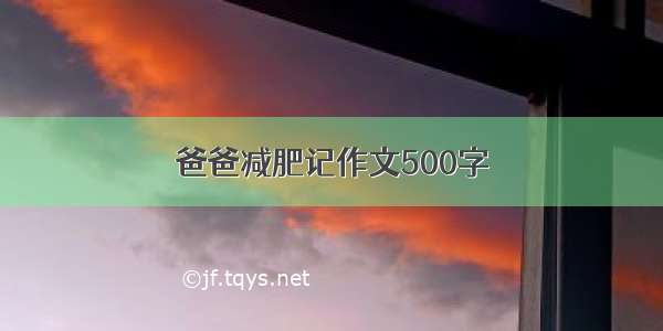 爸爸减肥记作文500字