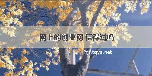 网上的创业网 信得过吗