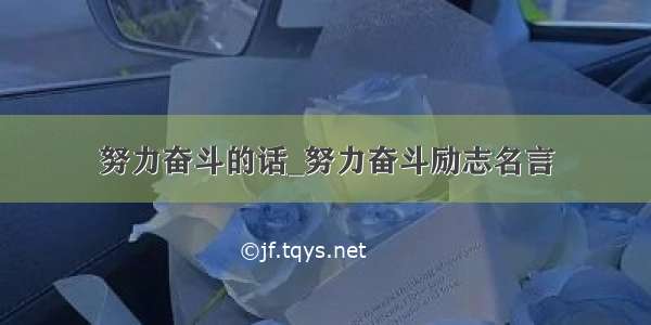 努力奋斗的话_努力奋斗励志名言