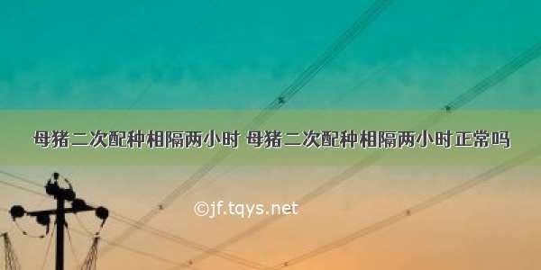 母猪二次配种相隔两小时 母猪二次配种相隔两小时正常吗