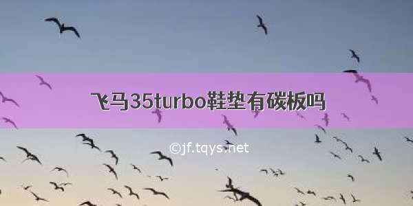 飞马35turbo鞋垫有碳板吗