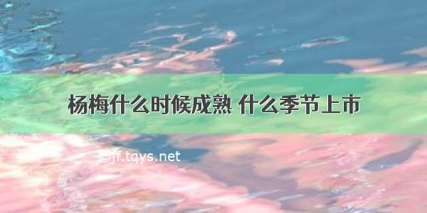 杨梅什么时候成熟 什么季节上市