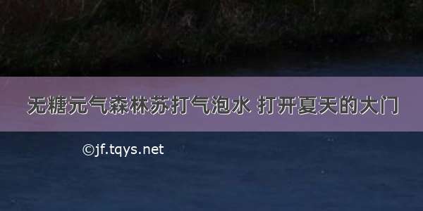 无糖元气森林苏打气泡水 打开夏天的大门