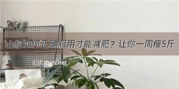 山楂如何正确服用才能减肥？让你一周瘦5斤