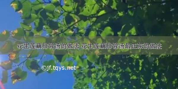 花生莲藕排骨汤的做法 花生莲藕排骨汤最正宗的做法