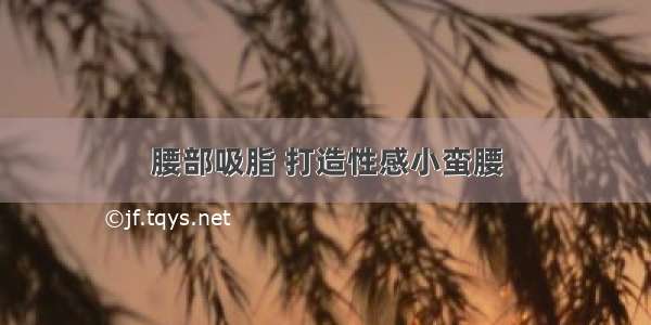 腰部吸脂 打造性感小蛮腰