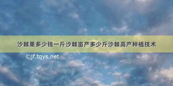 沙棘果多少钱一斤沙棘亩产多少斤沙棘高产种植技术