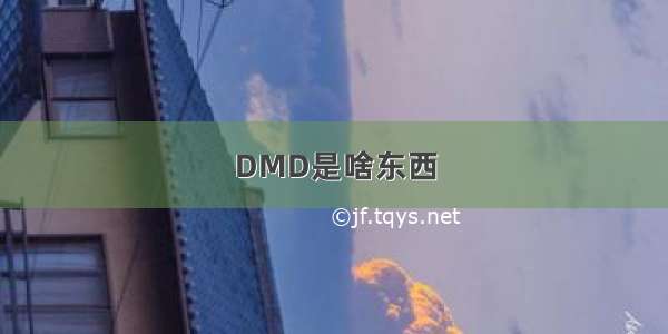 DMD是啥东西