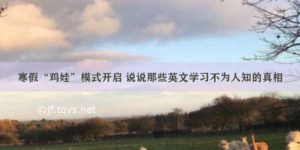 寒假“鸡娃”模式开启 说说那些英文学习不为人知的真相