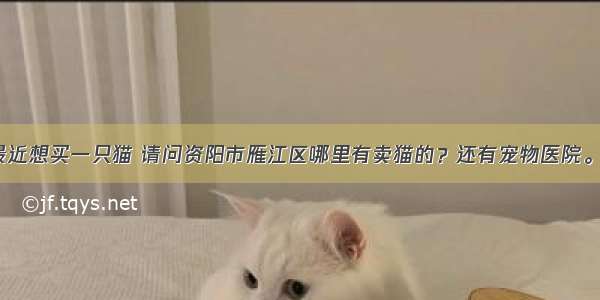最近想买一只猫 请问资阳市雁江区哪里有卖猫的？还有宠物医院。？