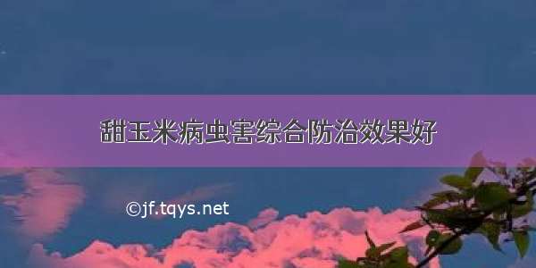 甜玉米病虫害综合防治效果好