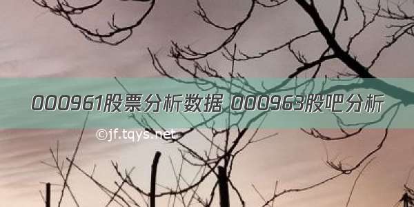 000961股票分析数据 000963股吧分析