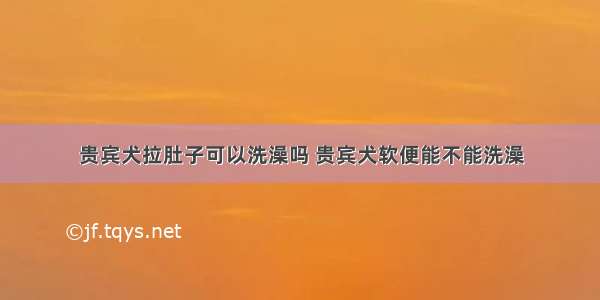 贵宾犬拉肚子可以洗澡吗 贵宾犬软便能不能洗澡