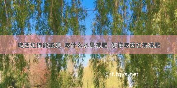 吃西红柿能减肥_吃什么水果减肥_怎样吃西红柿减肥