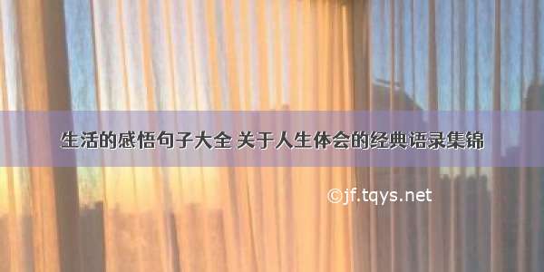 生活的感悟句子大全 关于人生体会的经典语录集锦