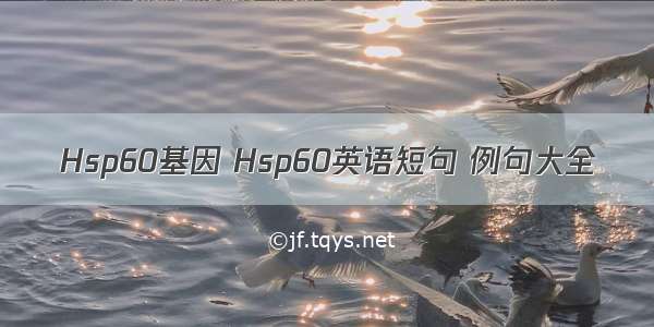 Hsp60基因 Hsp60英语短句 例句大全