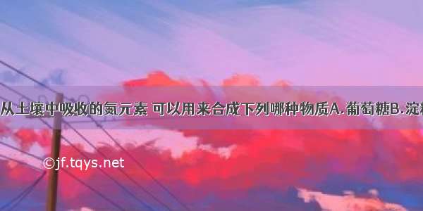 单选题植物从土壤中吸收的氮元素 可以用来合成下列哪种物质A.葡萄糖B.淀粉C.脂肪D.