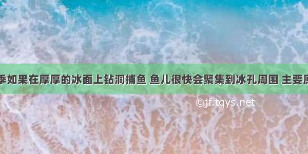 北方的冬季如果在厚厚的冰面上钻洞捕鱼 鱼儿很快会聚集到冰孔周围 主要原因是BA. 