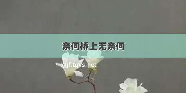 奈何桥上无奈何