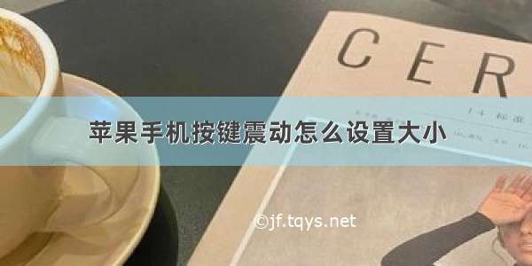 苹果手机按键震动怎么设置大小