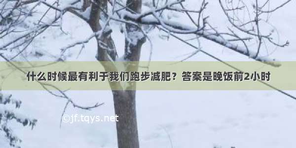 什么时候最有利于我们跑步减肥？答案是晚饭前2小时